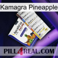 Kamagra Pineapple 11